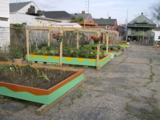  Mid City Community Garden